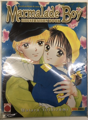 Marmalade boy illustration - marmalade,