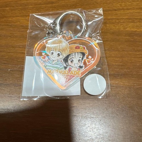 Marmalade boy acrylic - marmalade,