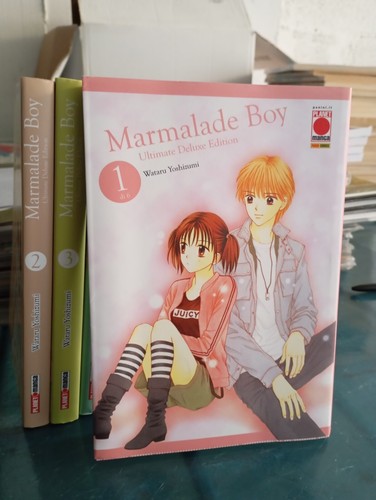Marmalade boy manga - marmalade,