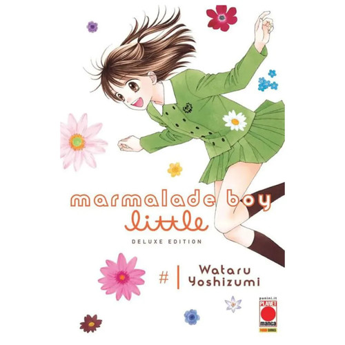 Marmalade boy little manga - boy,