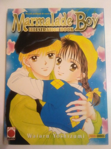 Marmalade boy illustration - boy,