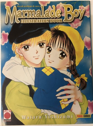 Marmalade boy illustration - marmalade,