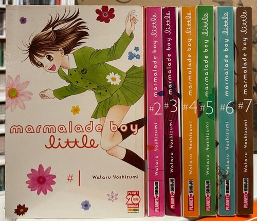 Marmalade boy little - boy,