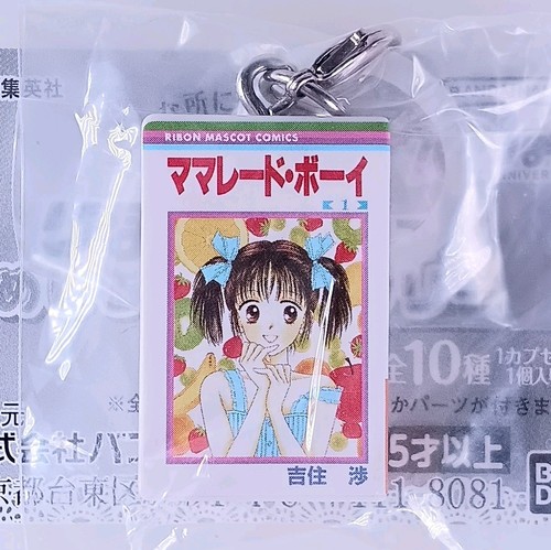 Marmalade boy ribon - boy,