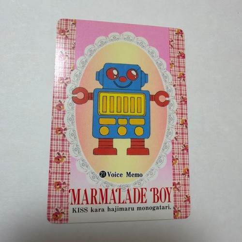 Marmalade boy - marmalade, 21